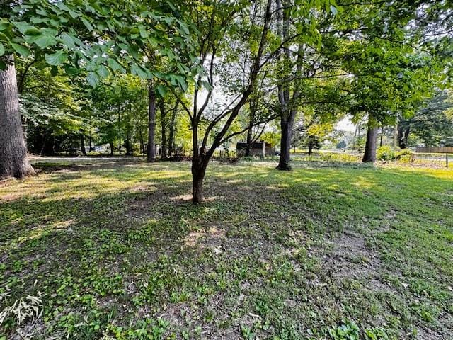 902 Cindy Hollow Rd, Estill Springs, TN 37330 - view of green lawn