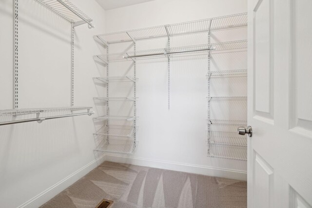 930 Eastover Rd, Lebanon, TN 37090 - spacious closet featuring carpet