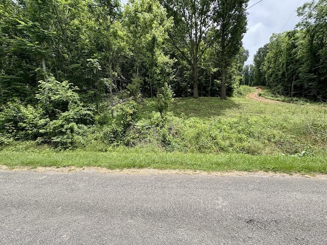 3459 Ella W Cir, Lynnville, TN 38472 - photo 6