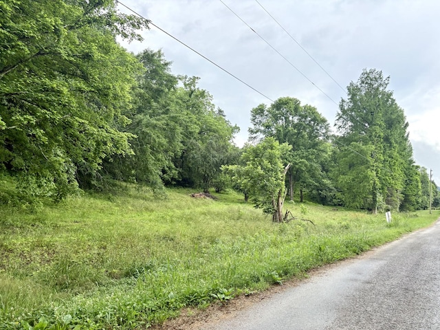 3459 Ella W Cir, Lynnville, TN 38472 - photo 1