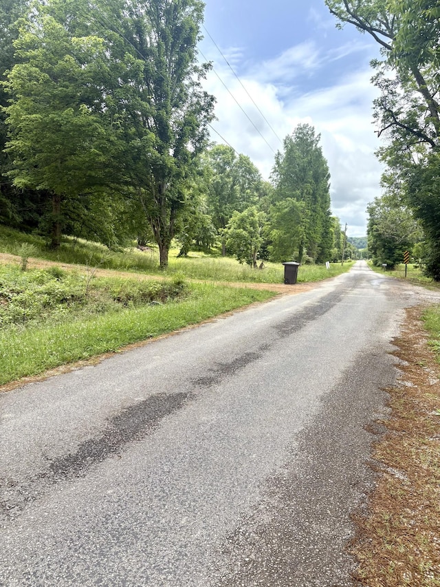 3459 Ella W Cir, Lynnville, TN 38472 - photo 4
