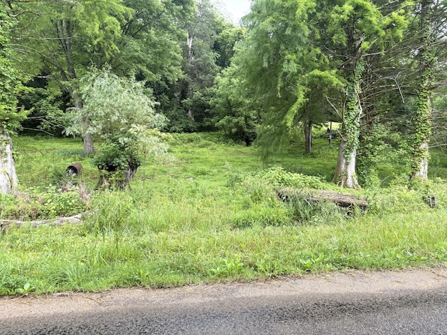 3459 Ella W Cir, Lynnville, TN 38472 - photo 3