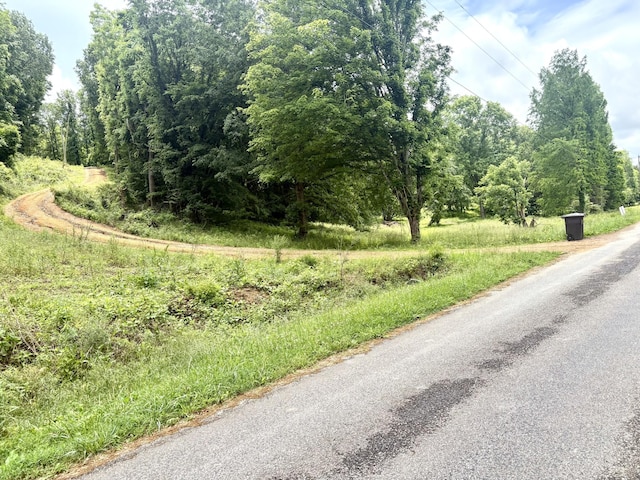 3459 Ella W Cir, Lynnville, TN 38472 - photo 5