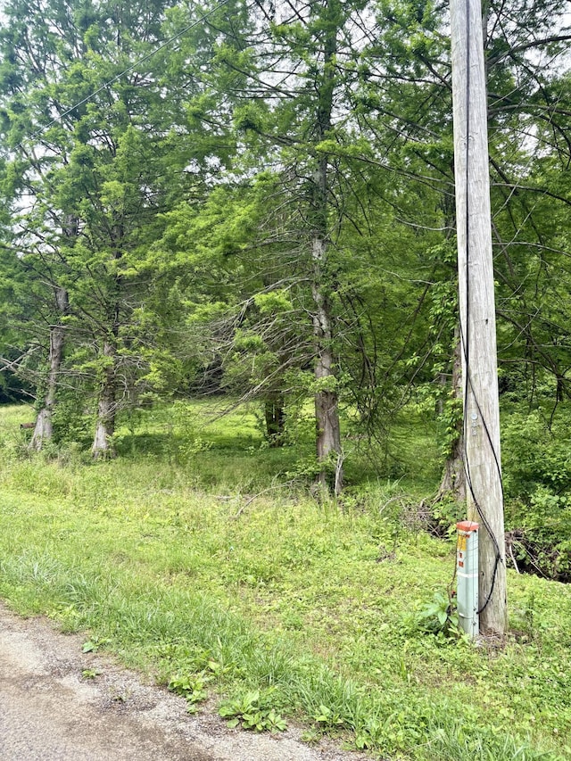 3459 Ella W Cir, Lynnville, TN 38472 - photo 8