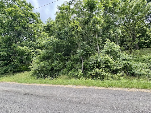 3459 Ella W Cir, Lynnville, TN 38472 - photo 7