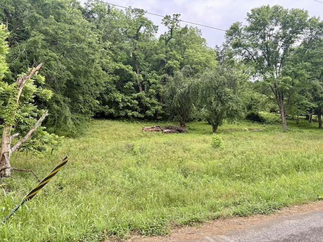 3459 Ella W Cir, Lynnville, TN 38472 - photo 2