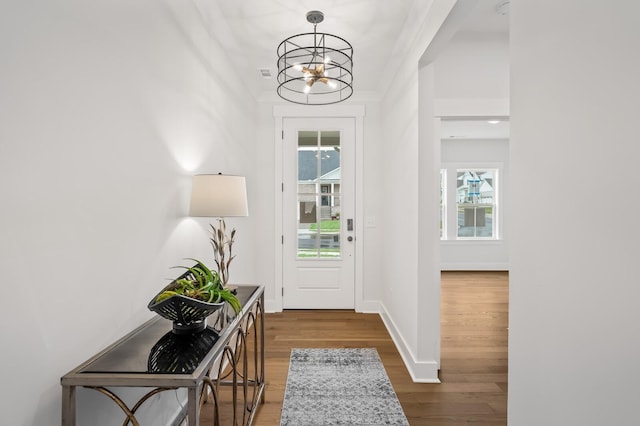 1005 Cherry Tree Dr, Mount Juliet, TN 37122 - foyer entrance with a chandelier, dark wood-style flooring, and baseboards