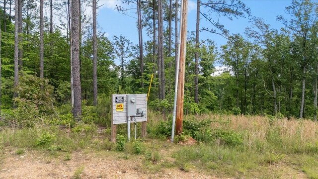 335 Bear Hollow Dr, Waverly, TN 37185