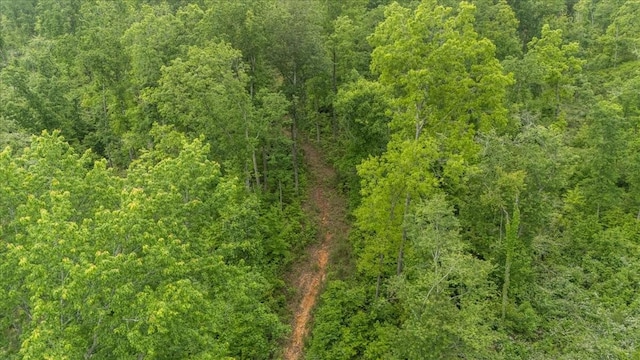 335 Bear Hollow Dr, Waverly, TN 37185