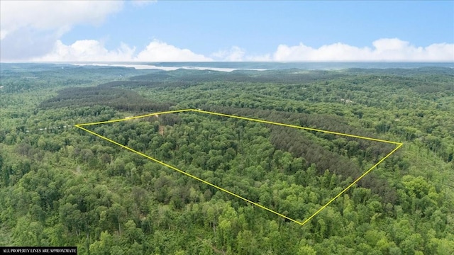 335 Bear Hollow Dr, Waverly, TN 37185