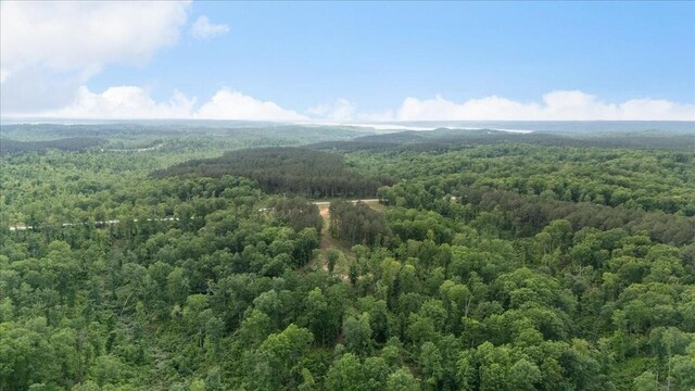 335 Bear Hollow Dr, Waverly, TN 37185