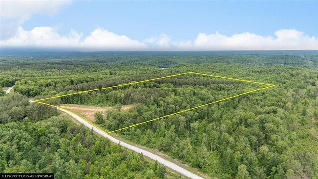 335 Bear Hollow Dr, Waverly, TN 37185