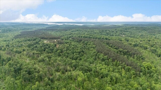 335 Bear Hollow Dr, Waverly, TN 37185