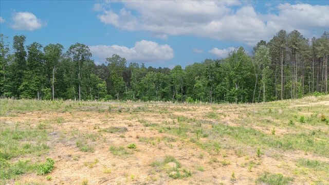 335 Bear Hollow Dr, Waverly, TN 37185