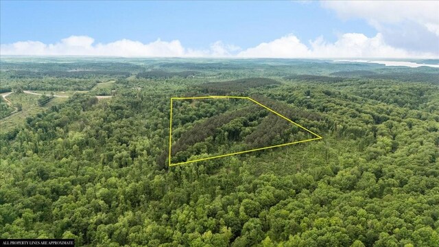 335 Bear Hollow Dr, Waverly, TN 37185