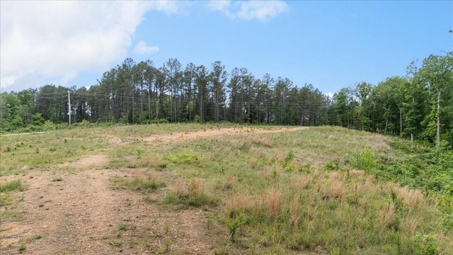 335 Bear Hollow Dr, Waverly, TN 37185