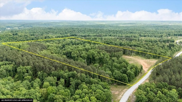 335 Bear Hollow Dr, Waverly, TN 37185