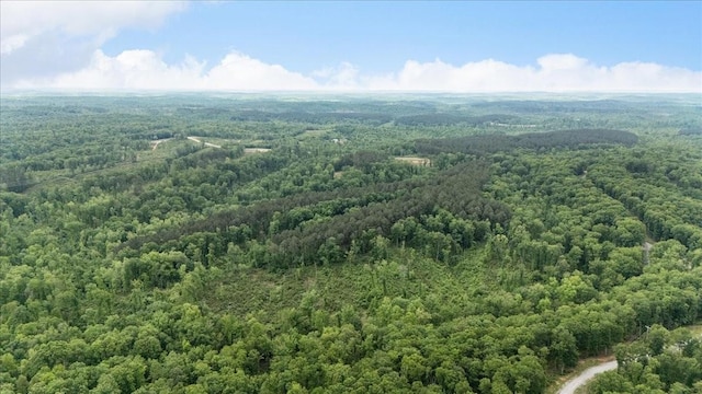 335 Bear Hollow Dr, Waverly, TN 37185