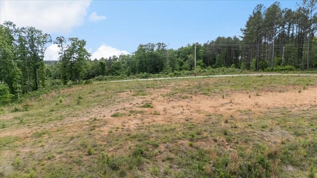 335 Bear Hollow Dr, Waverly, TN 37185