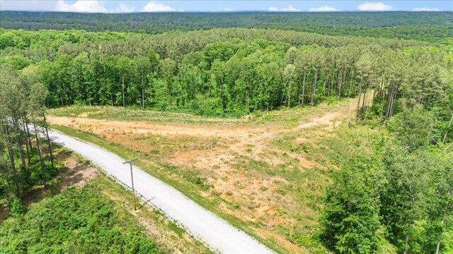 335 Bear Hollow Dr, Waverly, TN 37185
