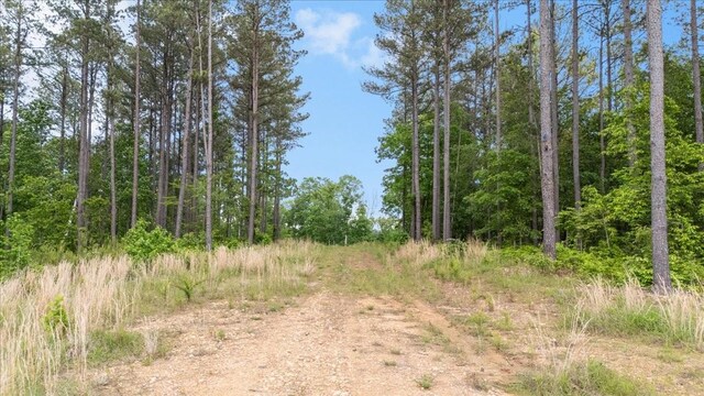 335 Bear Hollow Dr, Waverly, TN 37185