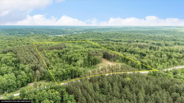 335 Bear Hollow Dr, Waverly, TN 37185