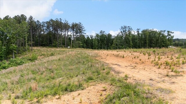 335 Bear Hollow Dr, Waverly, TN 37185