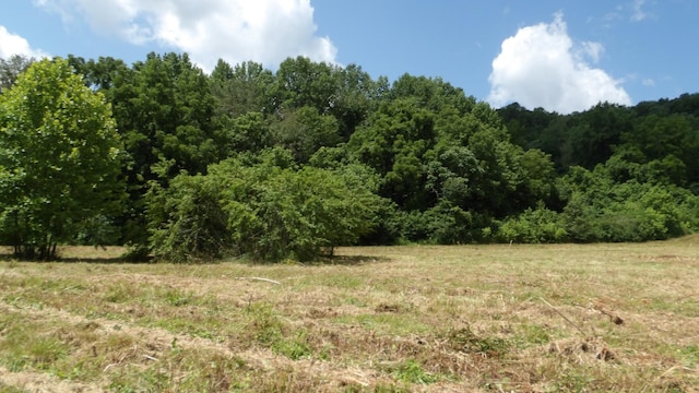 0 Lonnie Reecer Rd, Celina, TN 38551