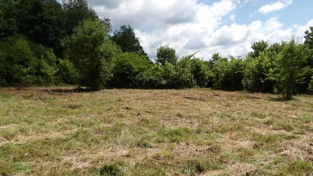 0 Lonnie Reecer Rd, Celina, TN 38551