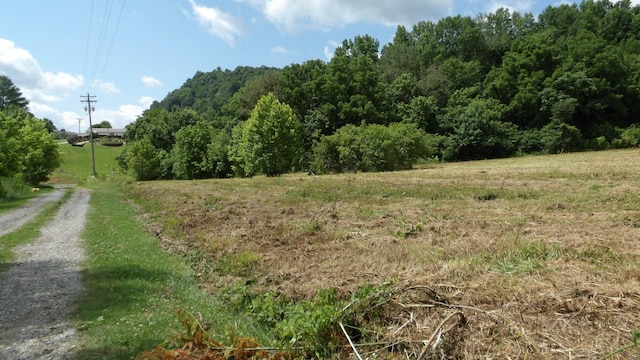0 Lonnie Reecer Rd, Celina, TN 38551