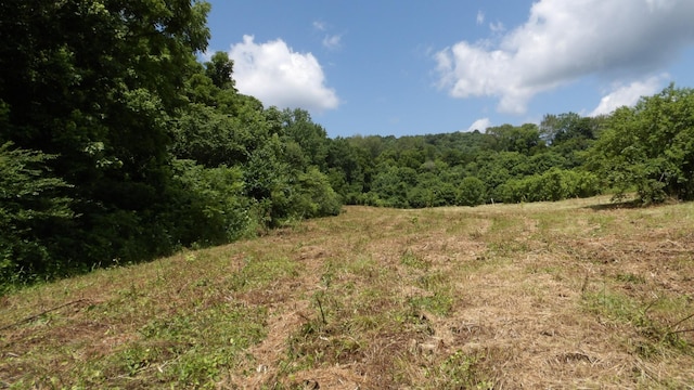 0 Lonnie Reecer Rd, Celina, TN 38551