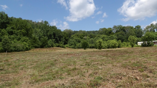 0 Lonnie Reecer Rd, Celina, TN 38551