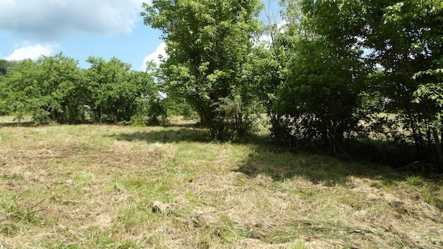 0 Lonnie Reecer Rd, Celina, TN 38551