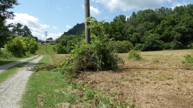 0 Lonnie Reecer Rd, Celina, TN 38551