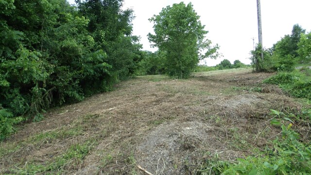 0 Lonnie Reecer Rd, Celina, TN 38551