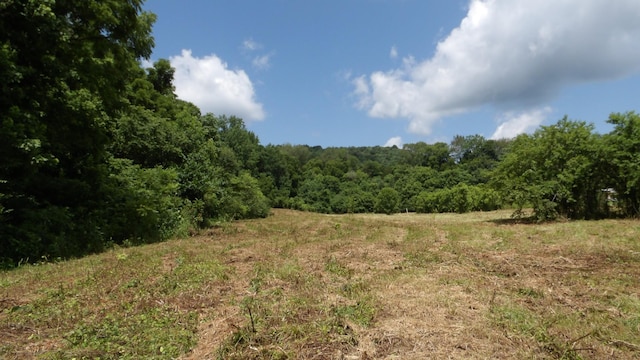 0 Lonnie Reecer Rd, Celina, TN 38551