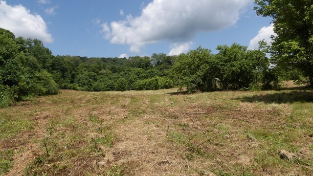 0 Lonnie Reecer Rd, Celina, TN 38551