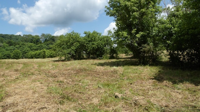 0 Lonnie Reecer Rd, Celina, TN 38551