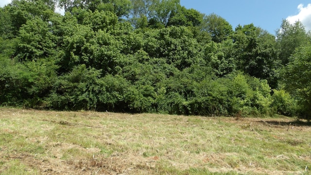 0 Lonnie Reecer Rd, Celina, TN 38551