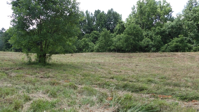 0 Lonnie Reecer Rd, Celina, TN 38551