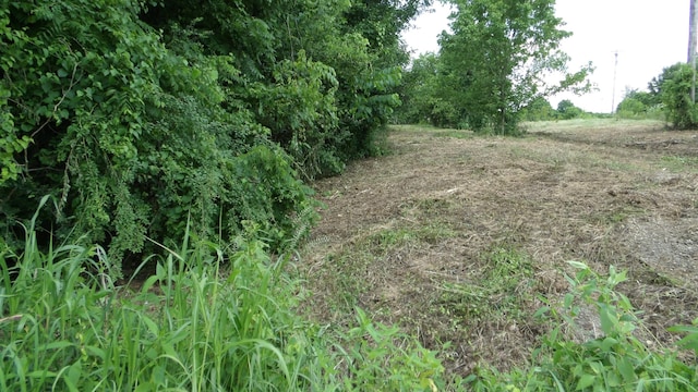 0 Lonnie Reecer Rd, Celina, TN 38551