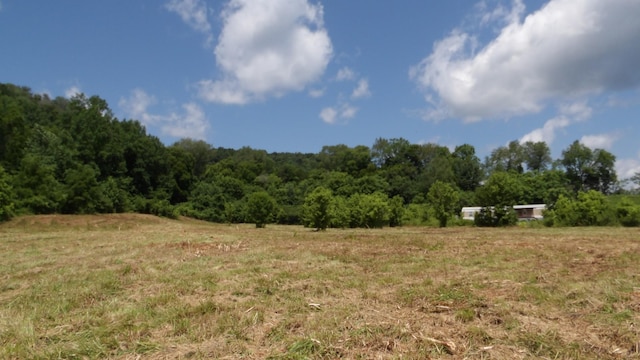 0 Lonnie Reecer Rd, Celina, TN 38551