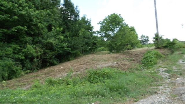 0 Lonnie Reecer Rd, Celina, TN 38551