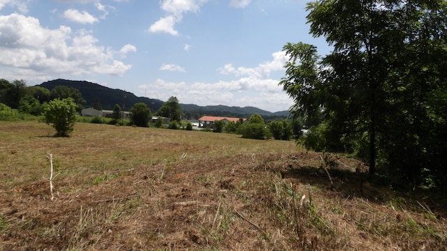 0 Lonnie Reecer Rd, Celina, TN 38551