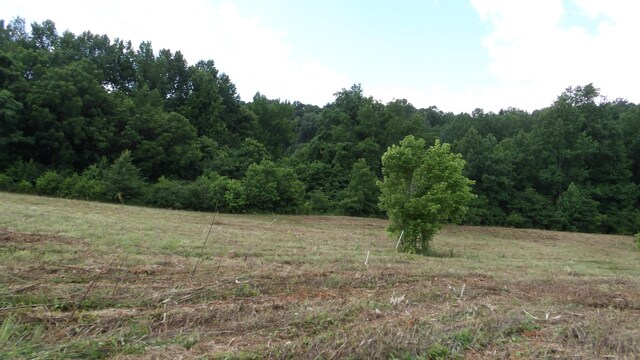 0 Lonnie Reecer Rd, Celina, TN 38551