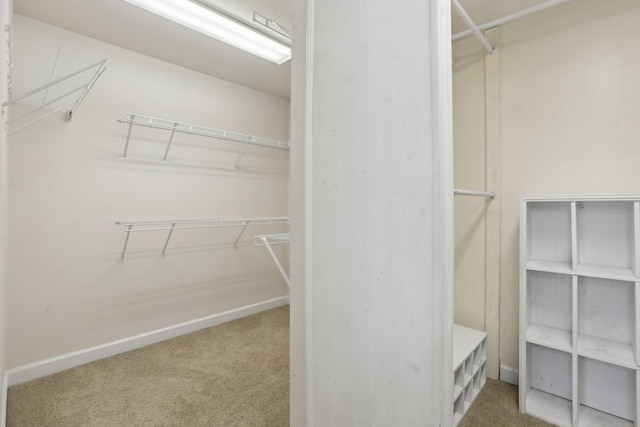 102 Oglethorpe Ave, Gallatin, TN 37066 - spacious closet with carpet flooring