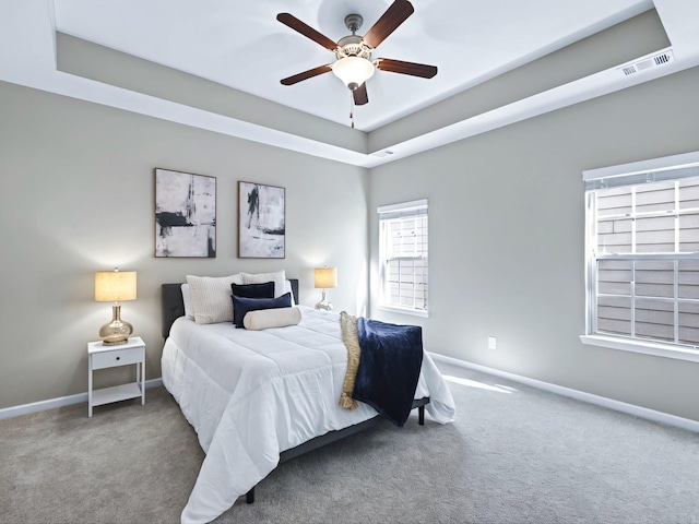 2438 Arden Village Dr, Columbia, TN 38401 - bedroom with baseboards, a raised ceiling, and carpet floors