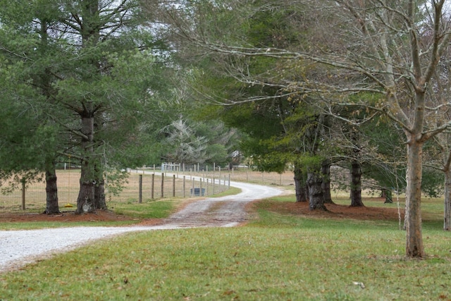 9484 Lucky Rd, Mcminnville, TN 37110 - photo 3