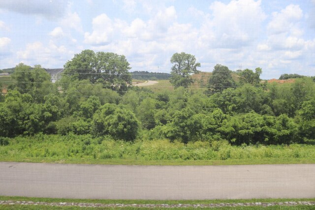 1321 Crofton Park Dr, Columbia, TN 38401 - view of nature