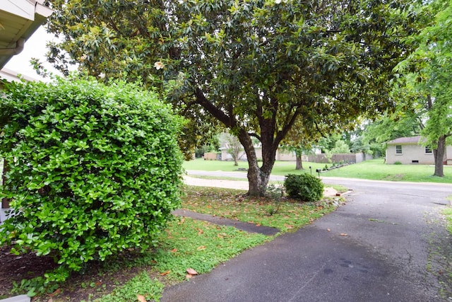 126 Glenn Ave, Gallatin, TN 37066 - photo 5